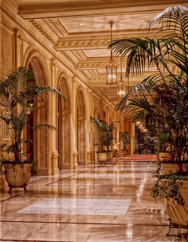 S hotel and Banquet Wedding Hall - Image 2